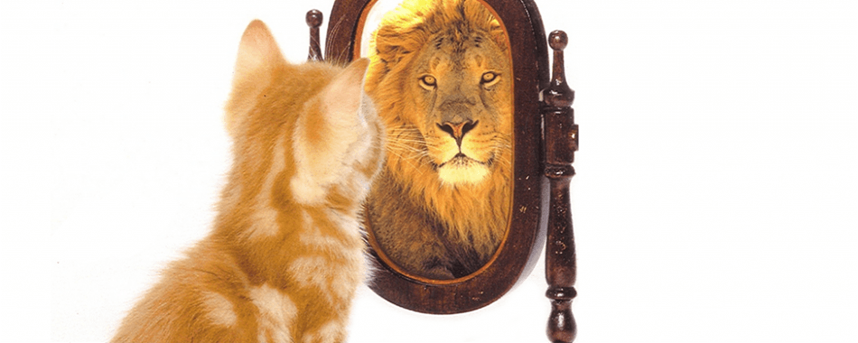 عزت نفس ،‌ موفقیت ، زندگی موفق - گروه تخصصی محبوب مجاز - شرکت مسینا