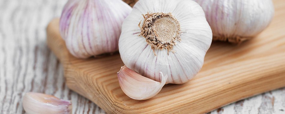 بوی بد سیر،‌ سیر ‌‌،‌ بوی بد دهان ـ‌ گروه تخصصی محبوب مجاز ـ‌ شرکت مسینا