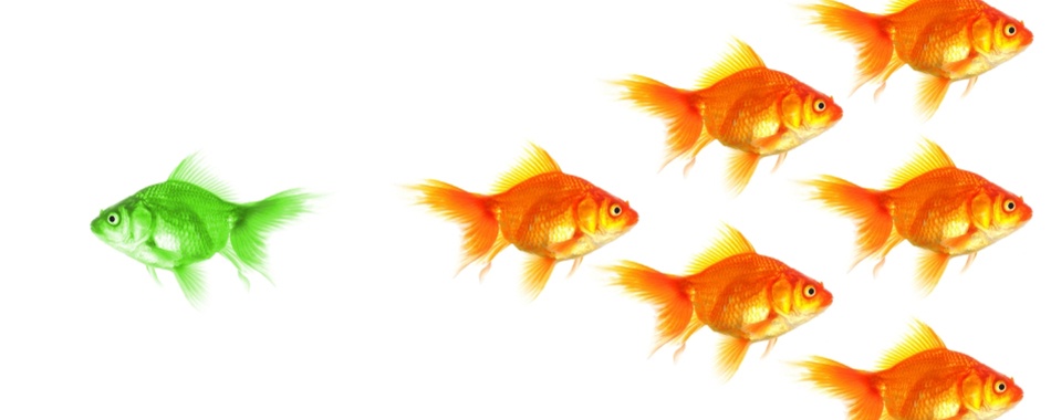 روابط اجتماعی - گروه تخصصی محبوب مجاز - شرکت مسینا