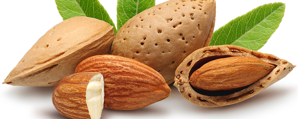 بادام ، خواص بادام ، سلامت بدن - گروه تخصصی محبوب مجاز - شرکت مسینا